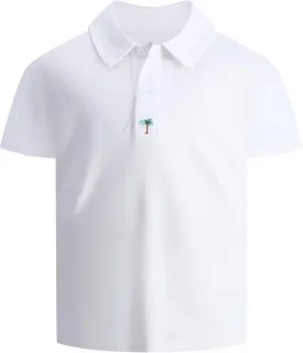 Boys Short Sleeve Pique Polo Shirt Uniform Golf T-Shirts for Kids 6-16 Years