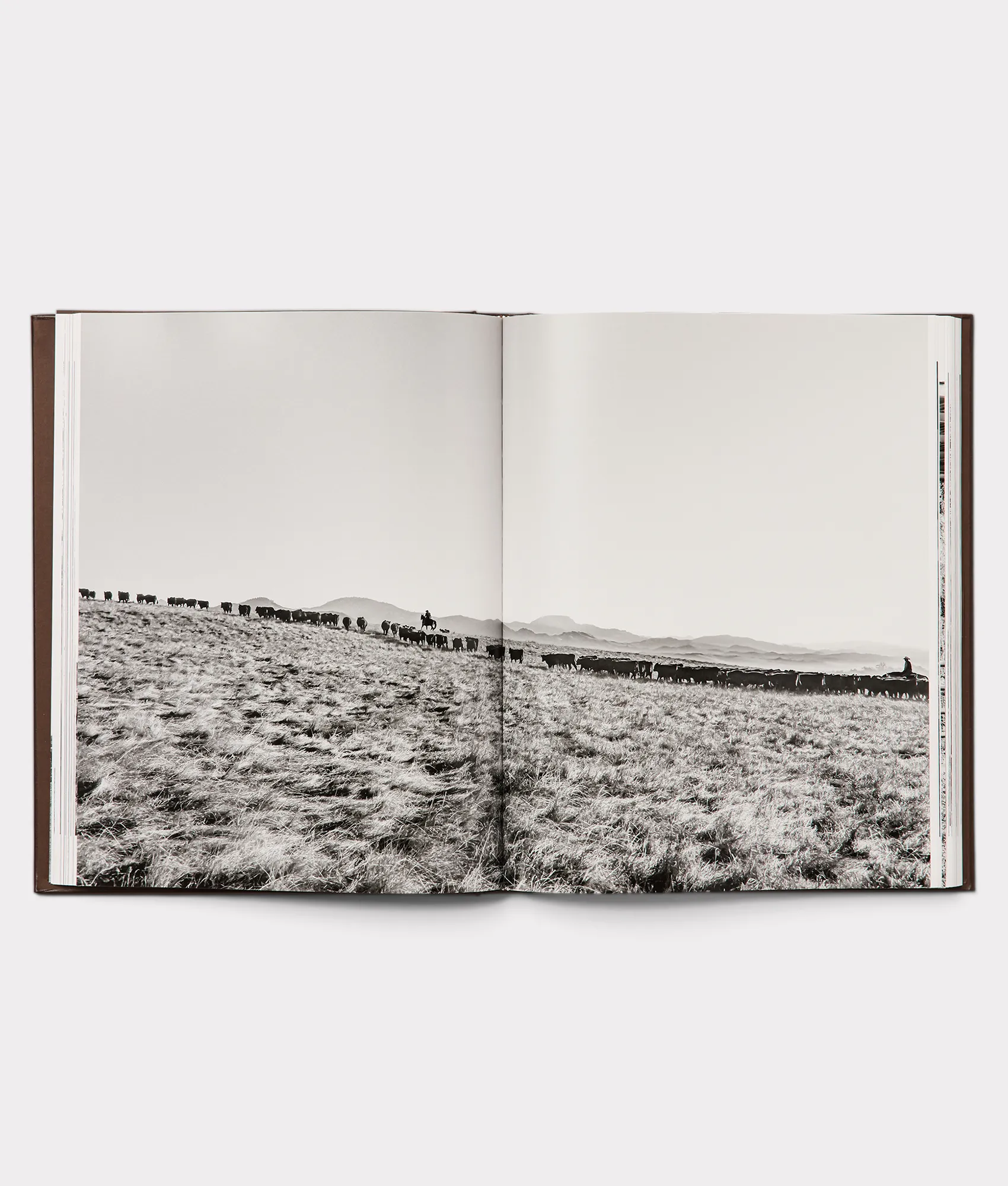 Leather Bound Cowboy Book :: Brown
