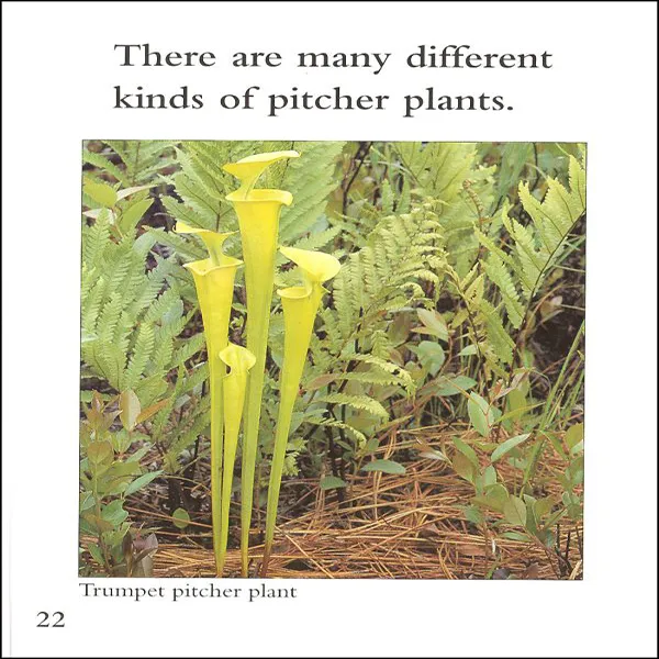 Plants That Eat Animals